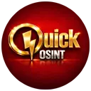 Quick OSINT Бот Лого